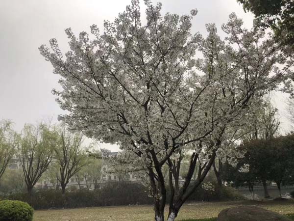 上海離婚律師咨詢網來講講離婚時股份沒有分割怎么辦