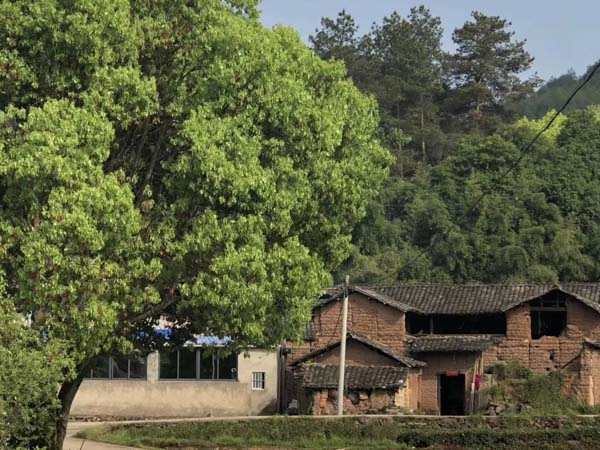 協(xié)議離婚怎么分財產？90%的人都不知道，趕緊來看看普陀婚姻律師的解讀