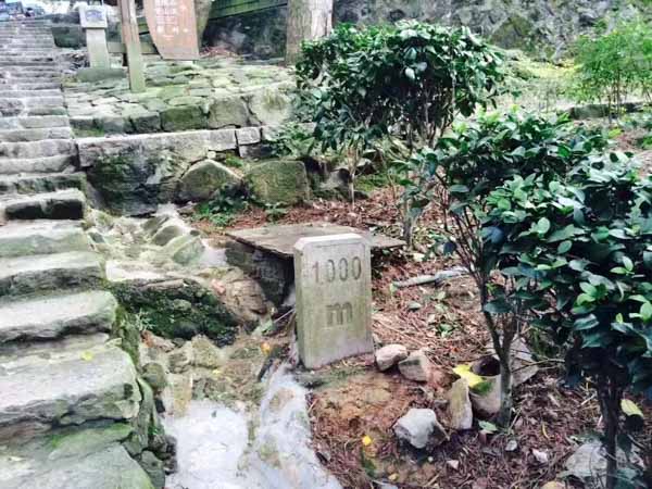 孩子滿多少歲之后男方可以起訴離婚？上海權(quán)威離婚律師帶您了解