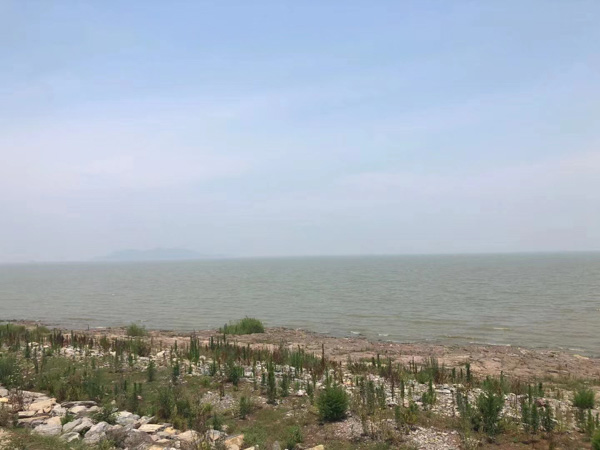 婚后財產(chǎn)是否屬于夫妻共同財產(chǎn)？上海離婚訴訟律師來回答