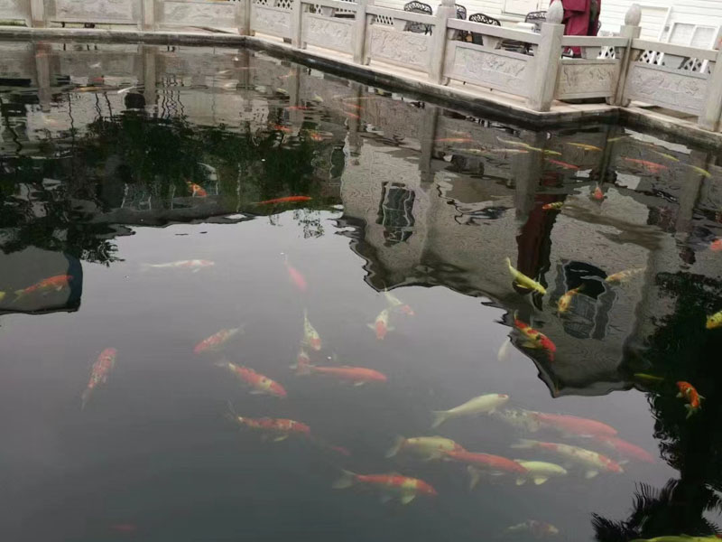 上?；橐龇慨a(chǎn)律師為您講解對于當(dāng)事人離婚給孩子的房子屬于個人財產(chǎn)嗎？法律知識。