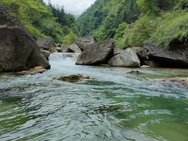 監(jiān)護(hù)權(quán)要如何確定呢？滿足什么條件可以變更監(jiān)護(hù)權(quán)？靜安婚姻律師為你解答