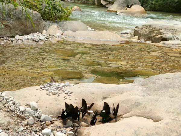 收了彩禮后，還需要退還嗎？普陀婚姻律師為你講解最新法律規(guī)定