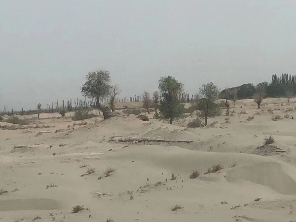 不能生育的情況下離婚財產如何分割？上海律師婚姻事務所告訴您