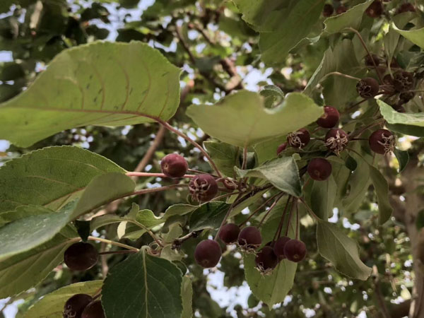 上海離婚律師分析：離婚后夫妻共同房產一方能不能賣掉？