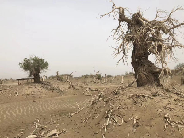 上海姻緣糾紛律師來講講如果夫妻一方不同意如何進行離婚