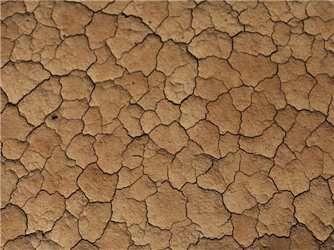 離婚時(shí)家庭付出多的一方是否有權(quán)請(qǐng)求補(bǔ)償