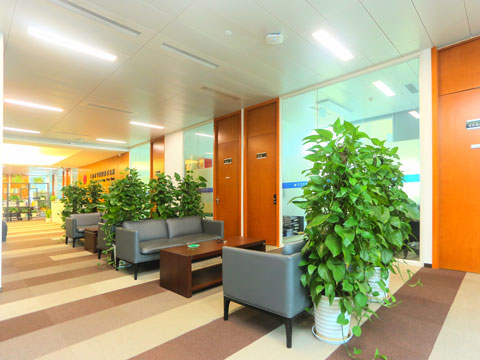 請(qǐng)問一下第一次去法院起訴離婚一般要多久開庭上海律師